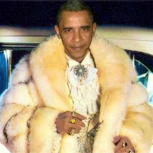 Meet your Posher, Angelo